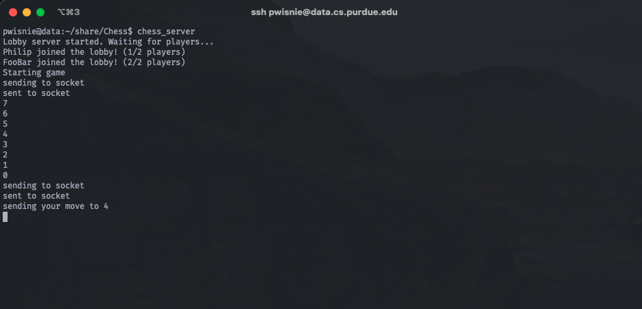 chess_server.png